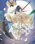 完美转世以后