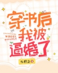 穿书后我被各