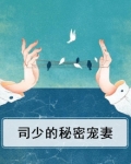 司少的秘宠甜妻全文免费