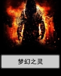 梦幻之灵手游攻略