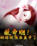 陨石击中地球的概率