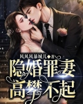 隐婚罪妻,高攀不起电视剧在线看