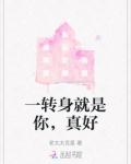 一转身就在你身后是什么歌