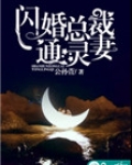 闪婚总裁通灵妻