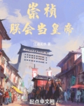 当崇祯的小说