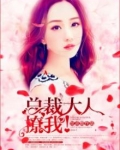 总裁大人,撩我小说