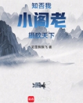 知否:我,小阁老,摄政天下
