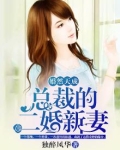 婚然天成：总裁的二婚新妻