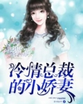 冷情总裁霸宠小娇妻全文免费阅读 小说