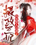 摄政王妃能有什么