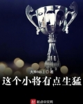 这员小将真不错