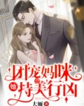 团宠妈咪免费阅读