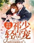 替身娇妻：祁少轻点宠