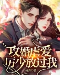 攻婚掠爱:冷情总裁太凶猛 小说
