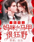 一胎双宝:妈咪的马甲又又又掉了 正圆梦