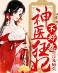 一胎三宝神医狂妃不好惹