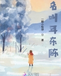 陈耳东粉笔