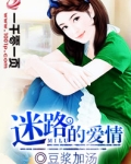 迷路的情话