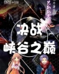 决战峡谷之巅之符文心法