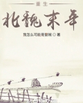 重生北魏末年笔趣阁