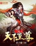 三国之天下至尊百度百科