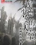 埃尔德兰的天空TXT下载