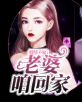 《老婆,我们回家吧》作者:酒小七