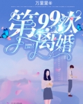 第99次离婚小说