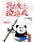 小说我在废土捡垃圾