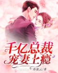 千亿总裁宠妻上瘾TXT下载