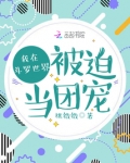 我在斗罗世界被迫当团宠
