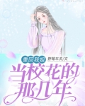 重回我姐当校花的那几年小说