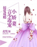掠爱成瘾：言少毒宠小娇妻