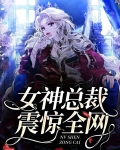 女神总裁的绝世高手无弹窗