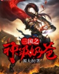 三国之奶爸系统