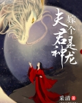 嫁个夫君是神龙全文免费阅读