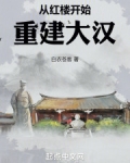 从红楼开始重建大汉小说