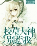 王牌校草别惹我第二部