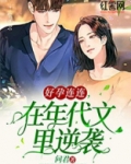 好孕连连,在年代文里逆袭 问君