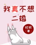 我真的不想结婚小说