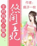小说王府有妃了