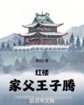 红楼：家父王子腾