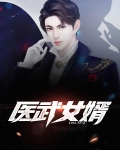 小说医武龙婿