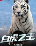 白虎王五星资格