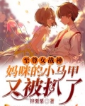至尊女战神：妈咪的小马甲又被扒了