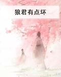 狼君你好烦