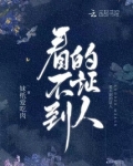 证人说没有看到