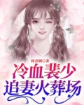 男主裴冷小说