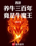 天上掉下个牛魔王