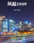 风起2010